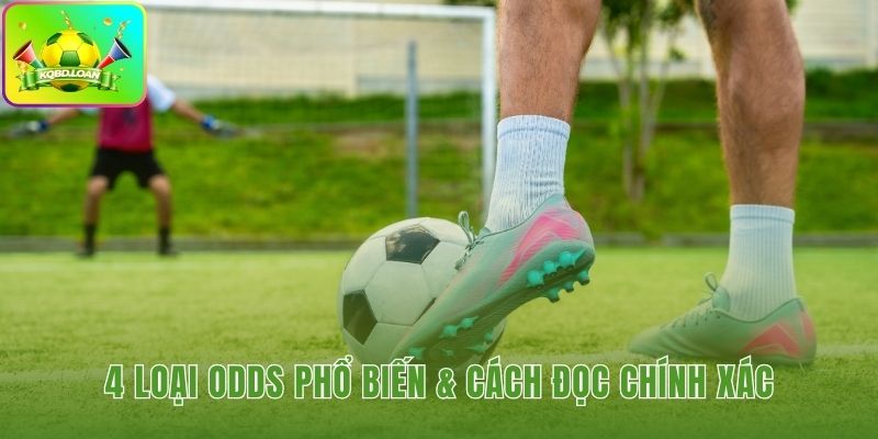 Các định dạng odds thông dụng tại thị trường cá cược châu Á