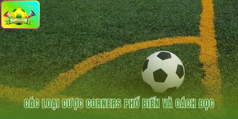 Các hình thức cược góc từ Tài Xỉu đến Chấp và 1X2