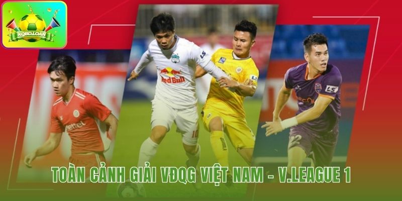 Cấu trúc vận hành chuyên nghiệp của VĐQG Việt Nam